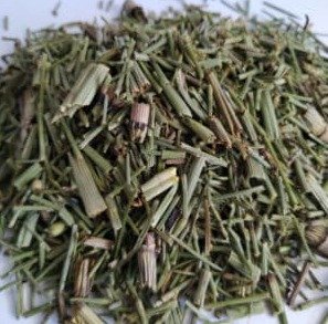 CAVALINHA 40GR